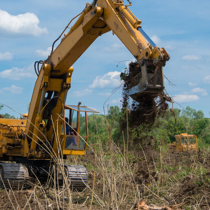 Bush Hogging (1)
