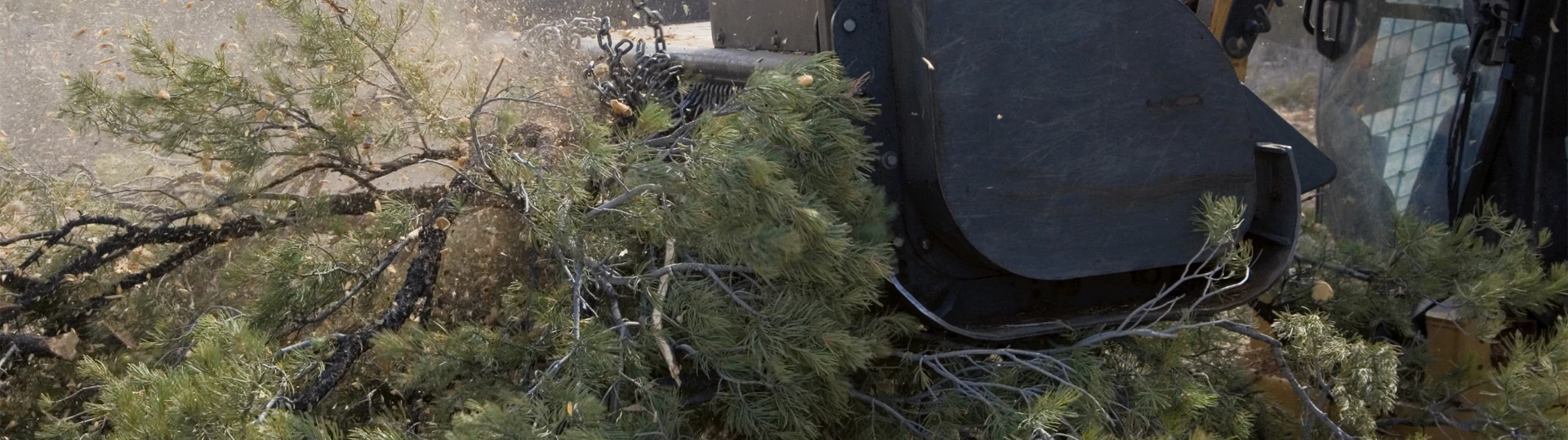 Bush Hogging breadcrumb