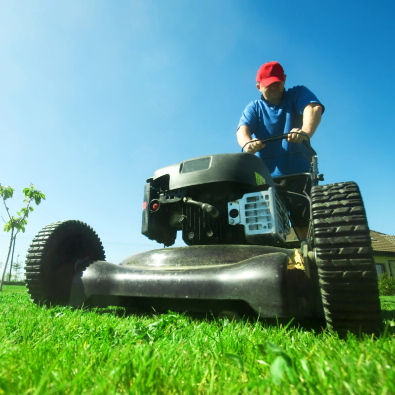 Field Mowing